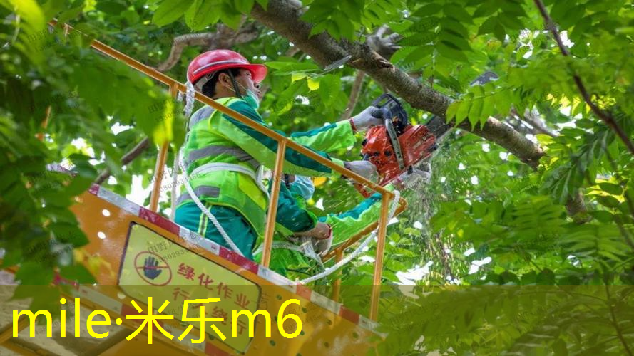 mile米乐m6官网：网球拍上小点点是什么材质