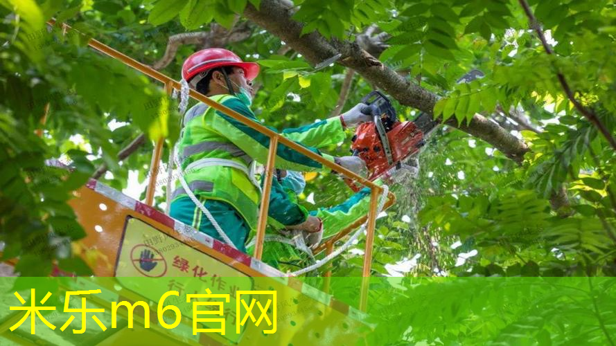 米乐：网球拍拍柄在哪看型号的