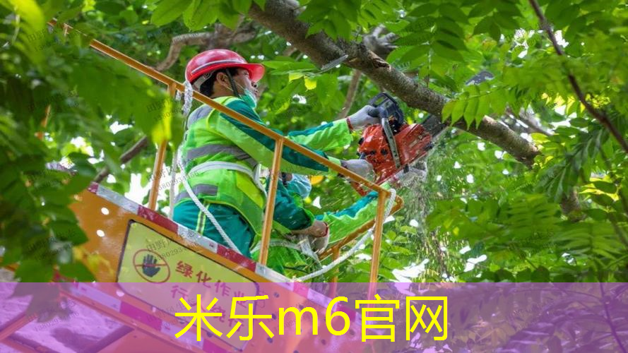短发网球拍自己怎么选颜色