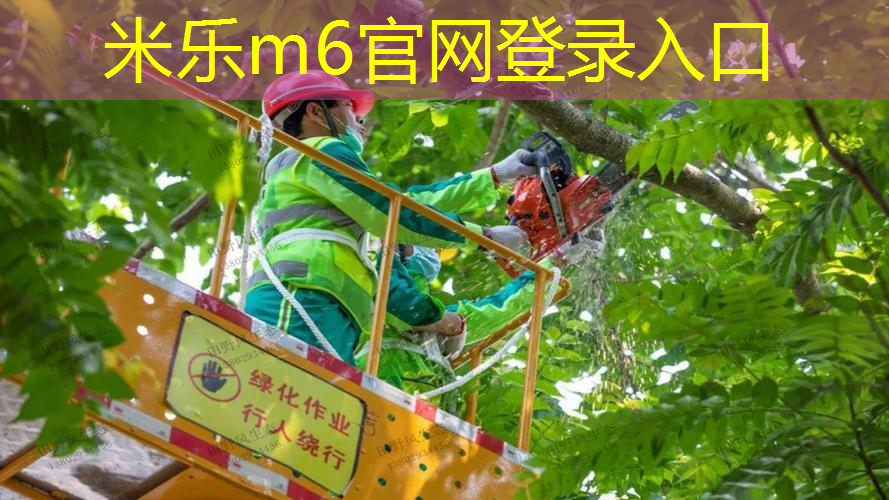 mile·米乐m6：网球拍手把带怎么上