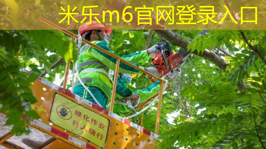mile米乐m6官网：网球拍线横硬竖软