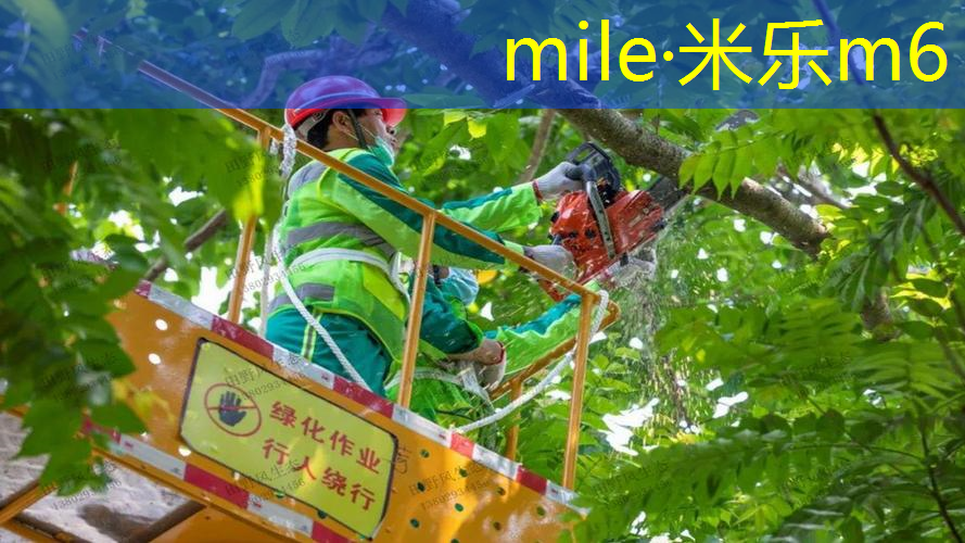 米乐m6官网：怎么看网球拍的尺寸图