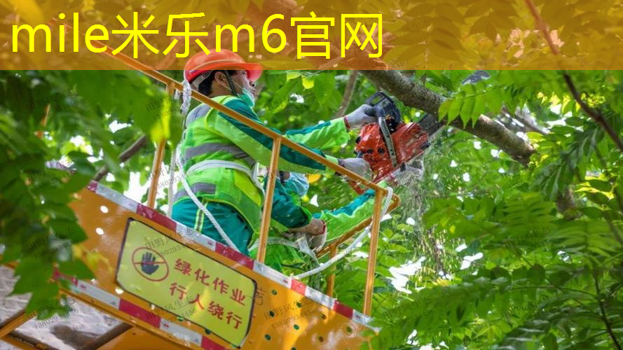 米乐m6官网：哪里排球训练好用网球拍