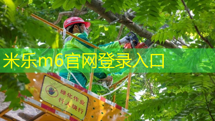 米乐：大坂直美白金限量网球拍