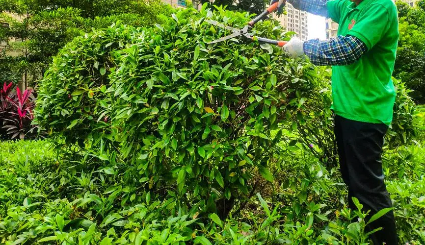 mile米乐m6官网：网球拍大小及重量表格图