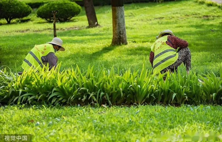 米乐m6官网登录入口：尤迪曼网球拍如何选