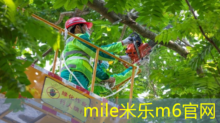 mile·米乐m6：坐网球拍上损害大吗_