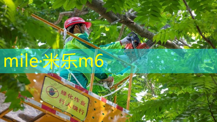 mile·米乐m6：网球拍减震器皮筋咋绑
