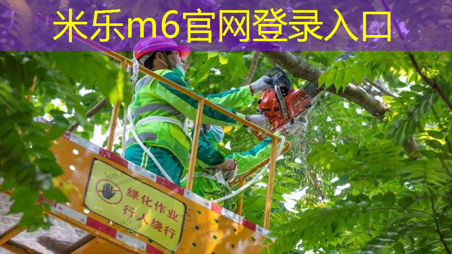 网球拍粘鲜花怎么处理掉