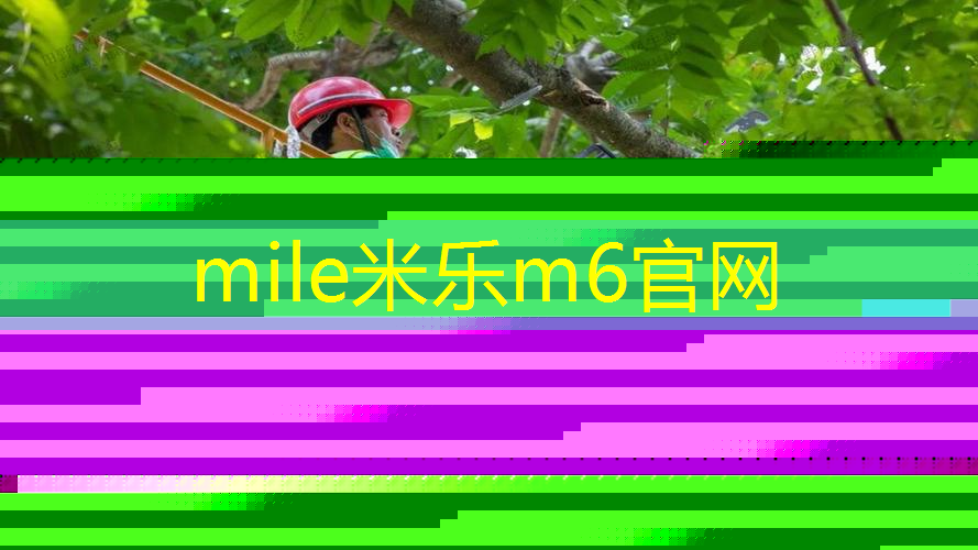 mile·米乐m6：羽毛球反手如何背对网球拍