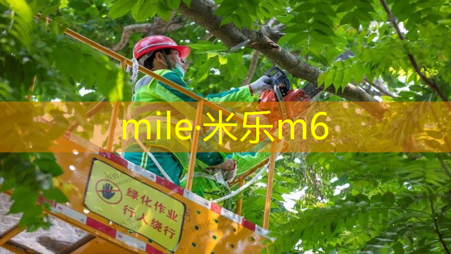 装网球拍的中古包叫什么
