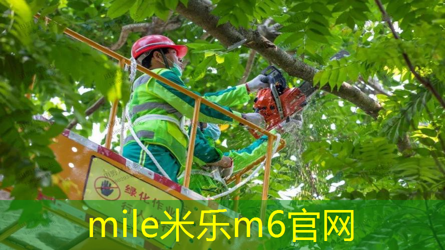 mile·米乐m6：网球拍上的圆形叫什么球