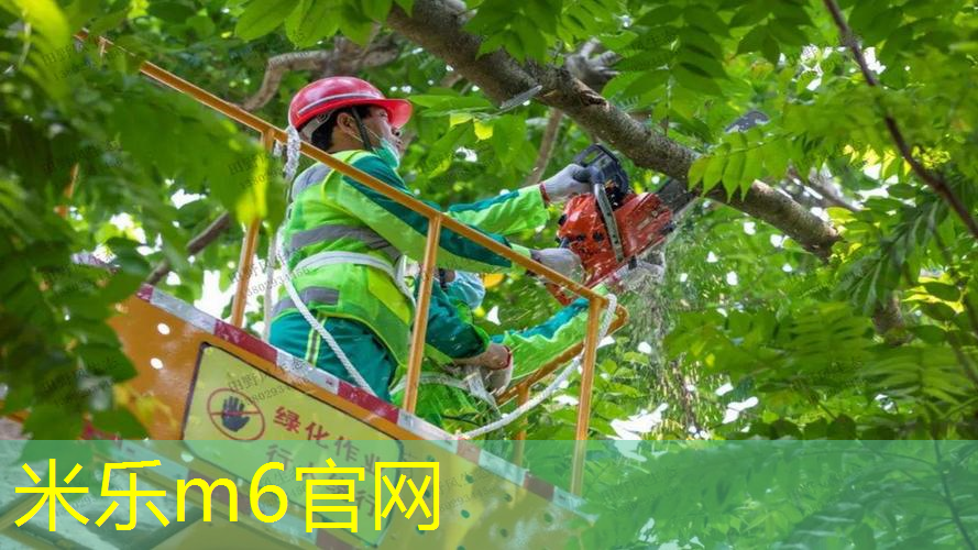 米乐m6官网：网球拍的材质参数是什么