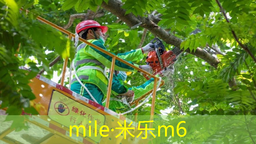 网球拍的网用什么做的