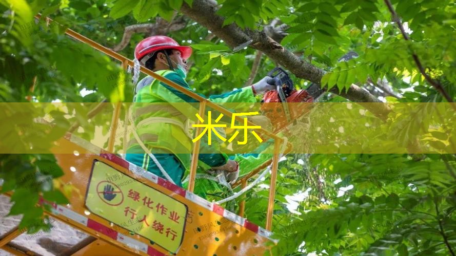 米乐m6官网：乒乓球台最多的球馆是哪个