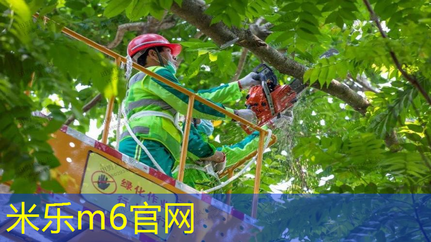 米乐：探秘黑科技：最新一代塑胶跑道材料型号登场！