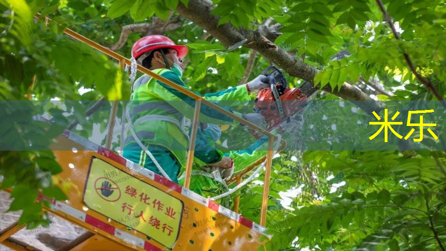 mile米乐m6官网：内乡室内健身房器材