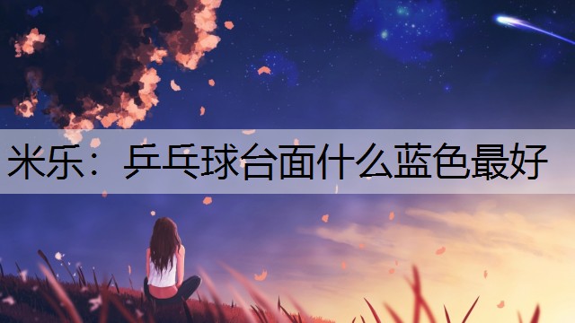 乒乓球台面什么蓝色最好