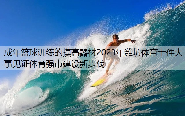 成年篮球训练的摸高器材2023年潍坊体育十件大事见证体育强市建设新步伐