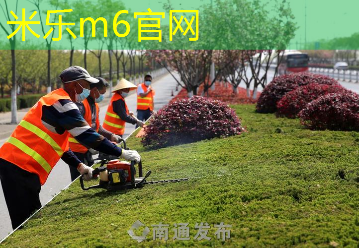 网球拍避震条系法