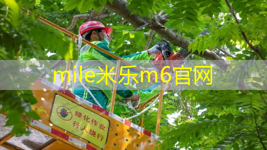网球拍上小点点是什么材质