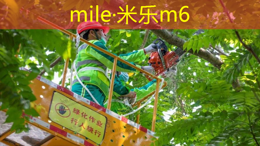 短发网球拍自己怎么选颜色