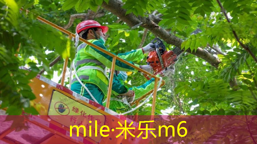 网球拍手把带怎么上