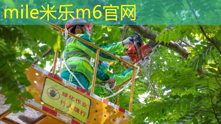 网球拍线横硬竖软