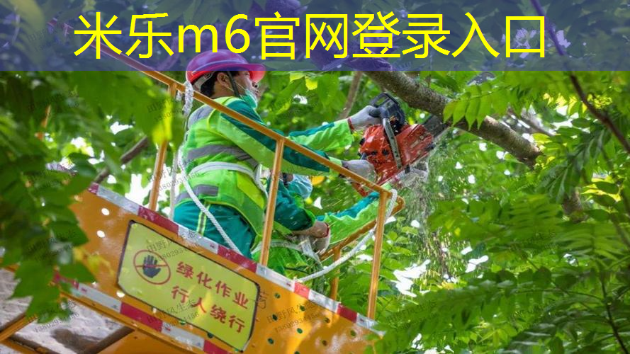 怎么看网球拍的尺寸图
