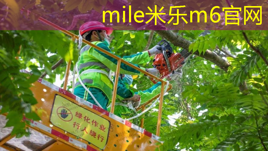大坂直美白金限量网球拍