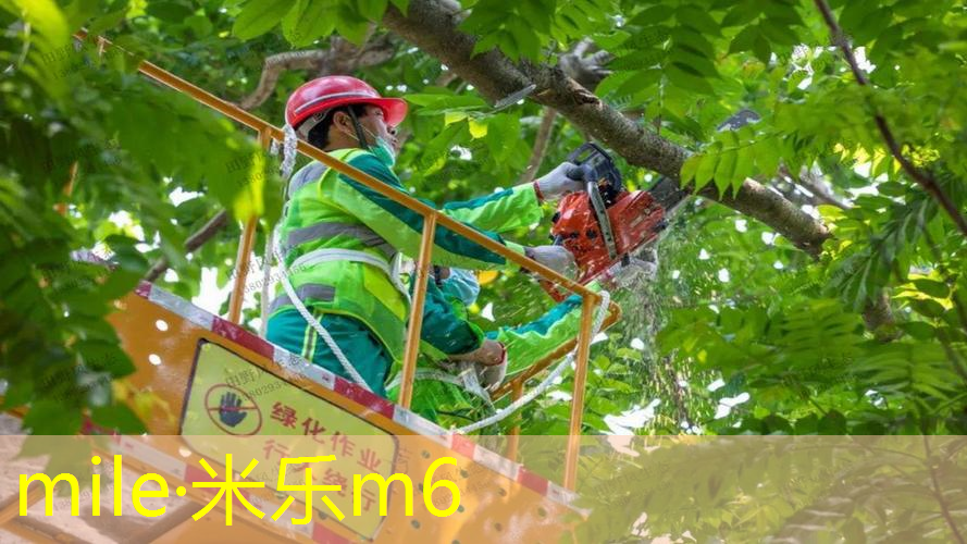 坐网球拍上损害大吗_
