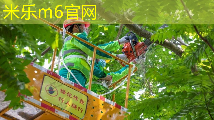 装网球拍的中古包叫什么