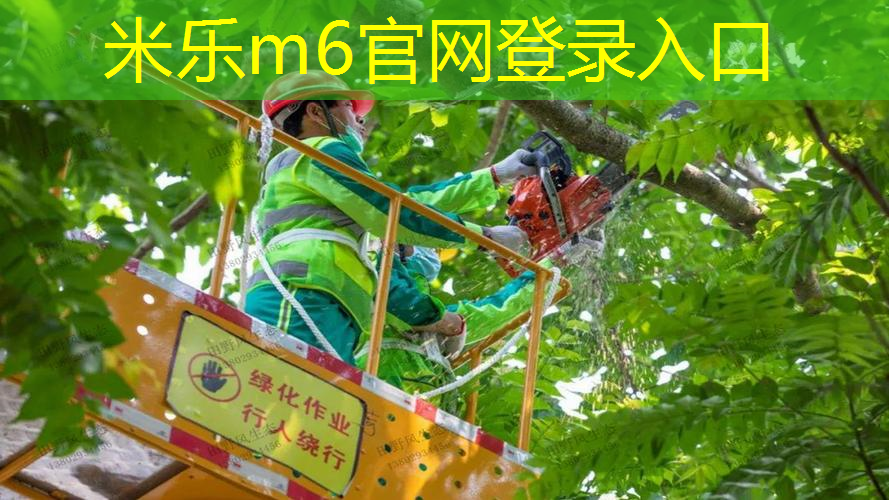 网球拍上的圆形叫什么球