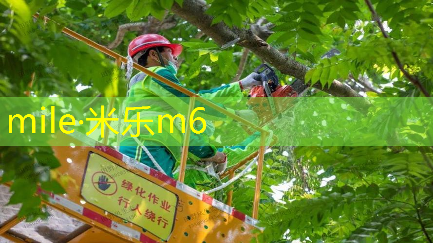 网球拍是不是很容易线断了