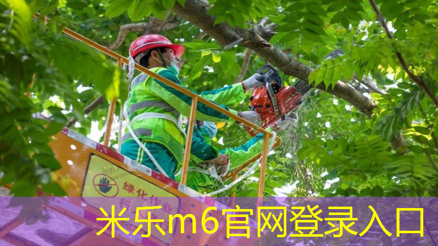 网球拍的材质参数是什么