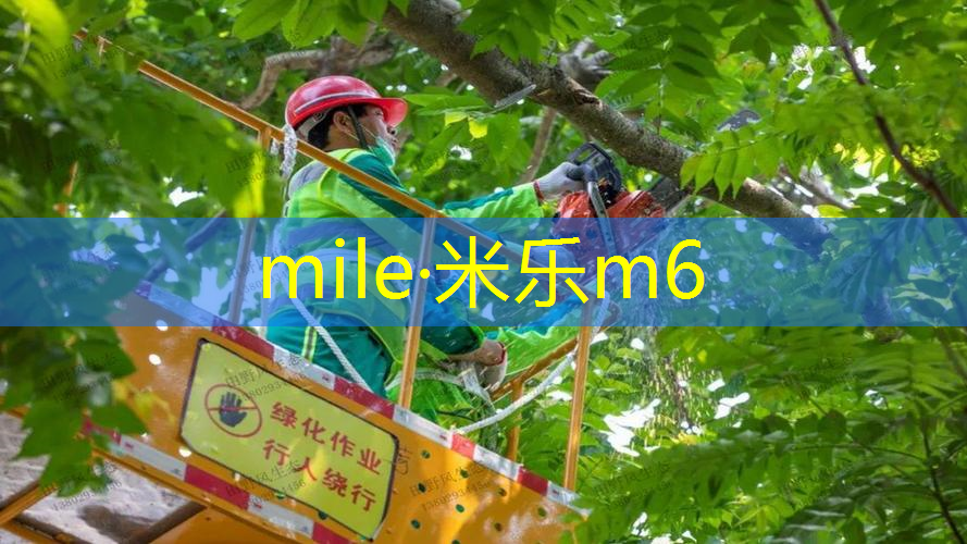 陪老公看网球拍的说说