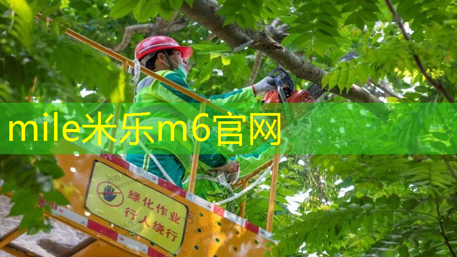 网球拍的网用什么做的
