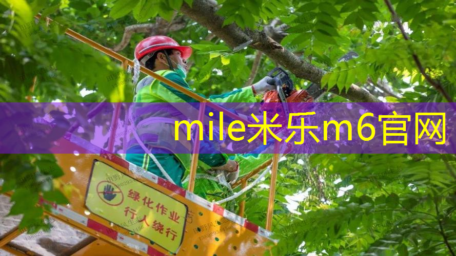 乒乓球台最多的球馆是哪个