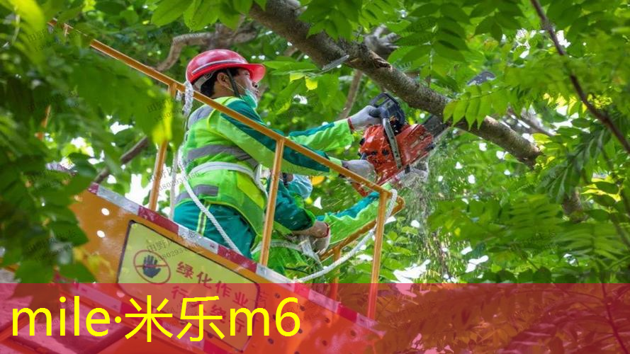 探秘黑科技：最新一代塑胶跑道材料型号登场！