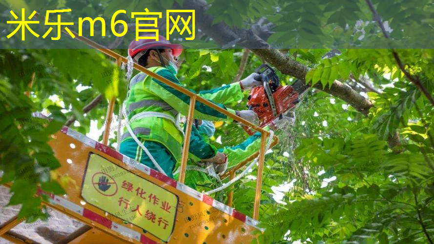 内乡室内健身房器材