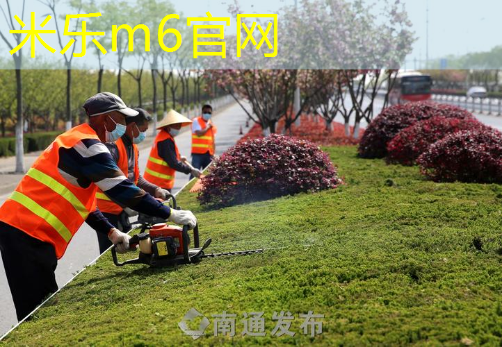 打篮球必备的转身器材是什么