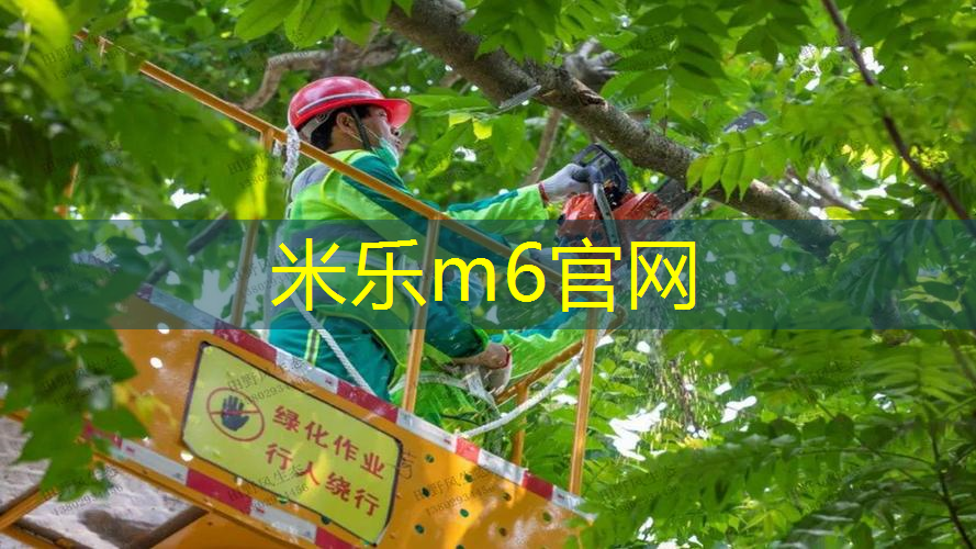 小伙室内健身